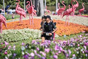 BIB: 
                            <button type="button" onclick="openModal(27793897)" class="btn btn-primary btn-sm float-right btn-popup" data-toggle="modal" data-target=".modal-high-quality">
                        <i class="fas fa-shopping-cart"></i> Add to Cart
                    </button>
                                            <button type="button" onclick="isThisMe(27793897, true)" class="btn btn-success btn-sm float-right btn-popup btn-isme hidden" data-toggle="tooltip" data-placement="bottom" title="นี่คือรูปของคุณใช่ไหม คลิกที่นี่เพื่อเอาเข้าอัลบั้ม">
                        <i class="fas fa-plus"></i> Add to album
                    </button>
                    <button type="button" onclick="isThisMe(27793897, false)" class="btn btn-warning btn-sm float-right btn-popup btn-isnotme hidden">
                        <i class="fas fa-ban"></i> Remove from album
                    </button>